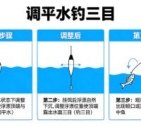 别再死磕调四钓二了！野钓调漂就用这几招，简单又实用