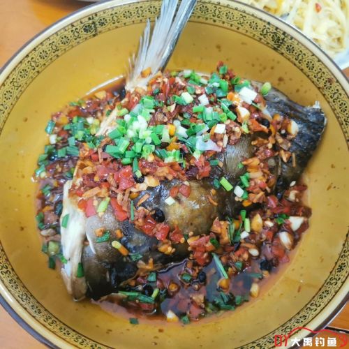 剁椒鱼头用钓回来的鲢鳙做这道湘菜硬菜