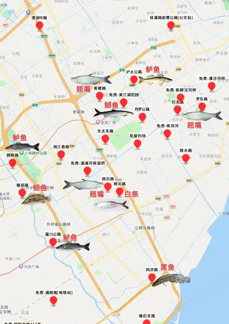 钓点分享